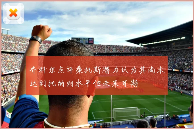 乔科尔点评桑托斯潜力认为其尚未达到托纳利水平但未来可期